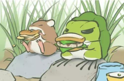 娱乐可爱蛙吃瓜